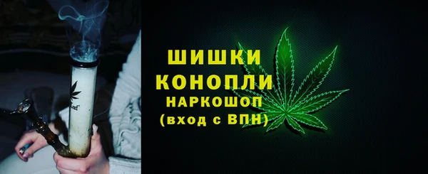 СК Зеленокумск