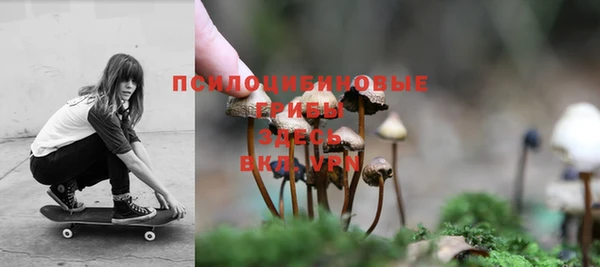 СК Зеленокумск