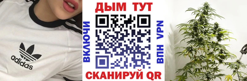 Купить где  Зея  МАРИХУАНА VHQ 